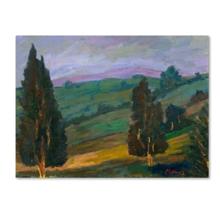 Manor Shadian 'Evergreens On A Green Slope' Canvas Art,35x47